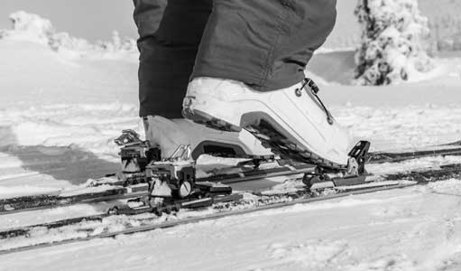 MATERIAL ESPECÍFICO